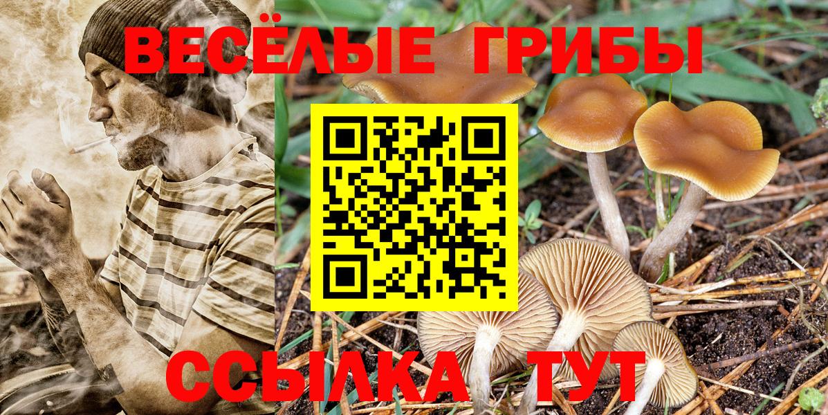 Гусь-Хрустальный  Галлюциногенные грибы Psilocybe  Галлюциногенные грибы мухоморы  Вход с VPN 